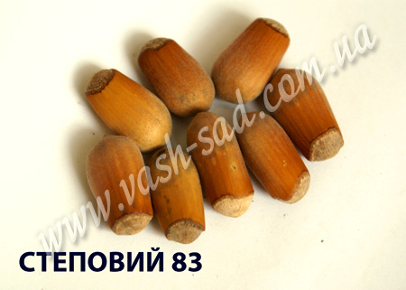 Степной 83