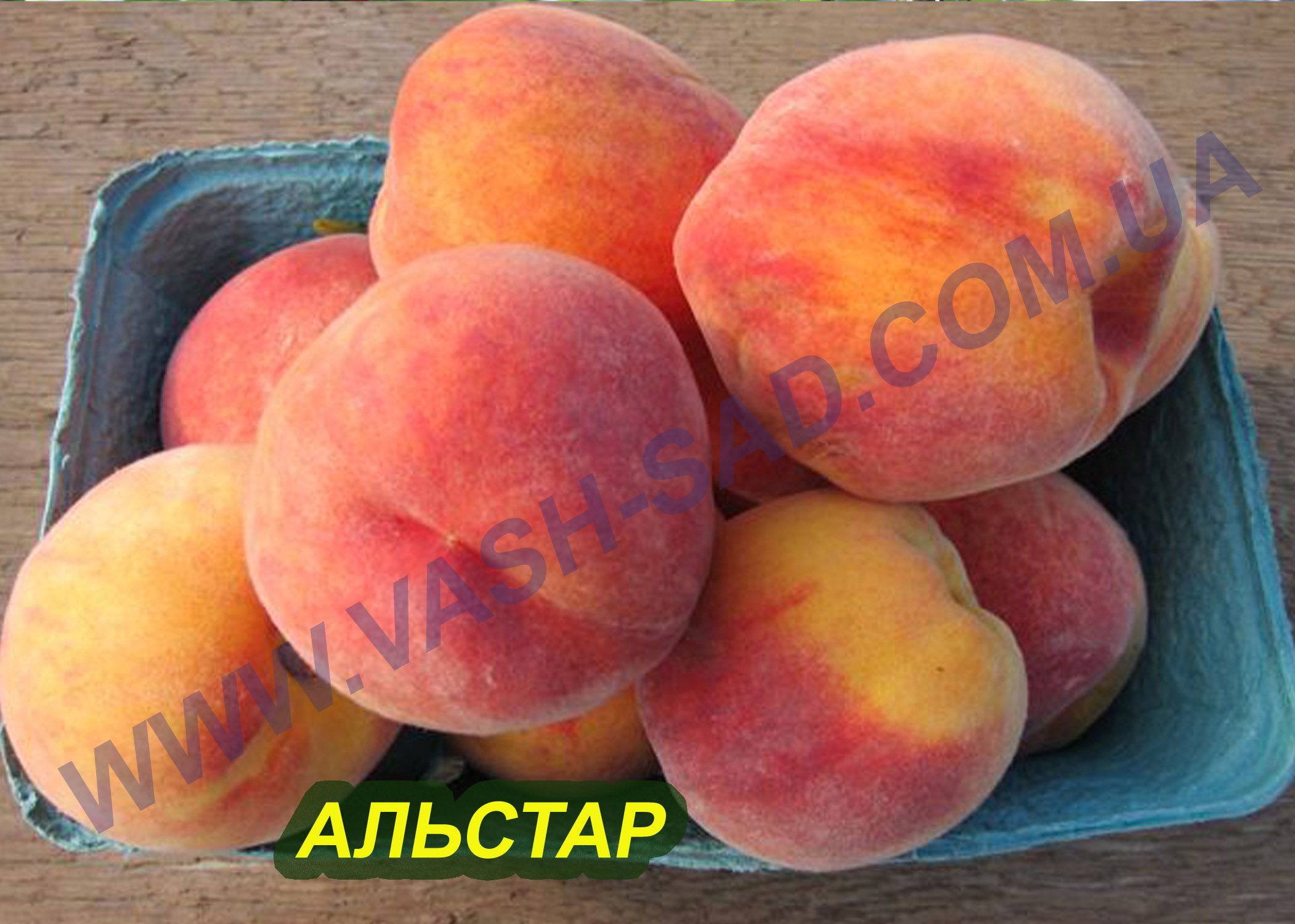 Альстар Альстар